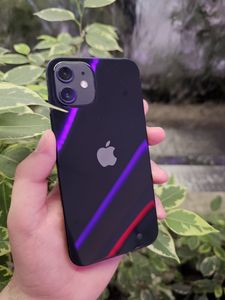 iPhone 12 за 5 999 грн