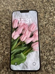 iPhone 13 Pro Max за 15 000 грн