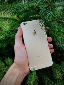iPhone 6s Plus за 1 300 грн